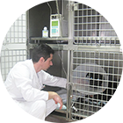 Hospital Veterinario